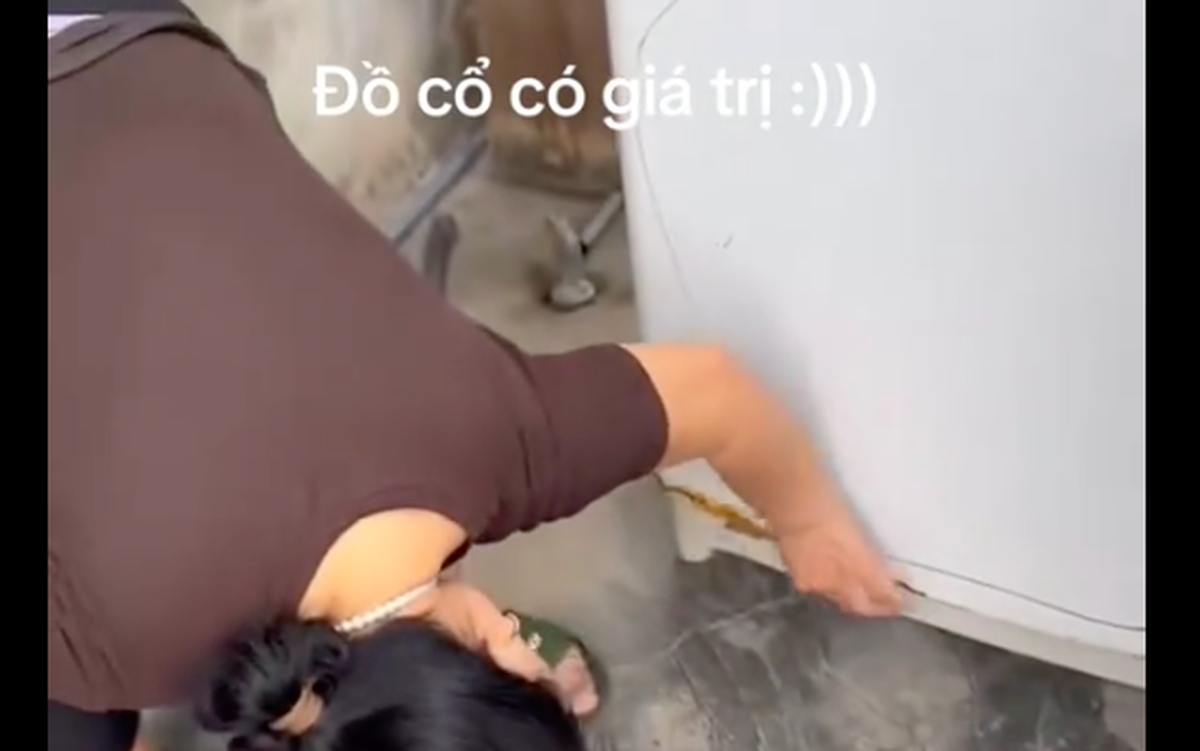 53c88aef694fa2d05257.png