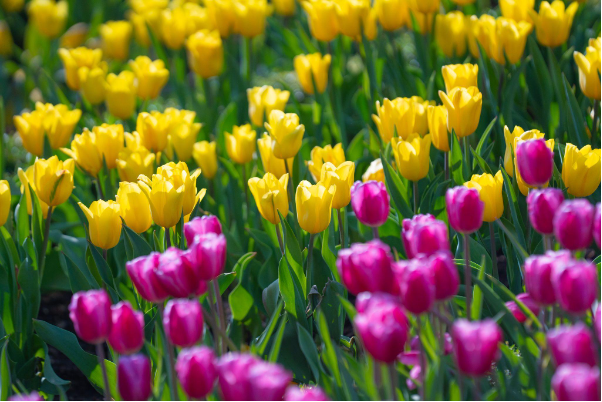 542e7449ae114f55937a.png