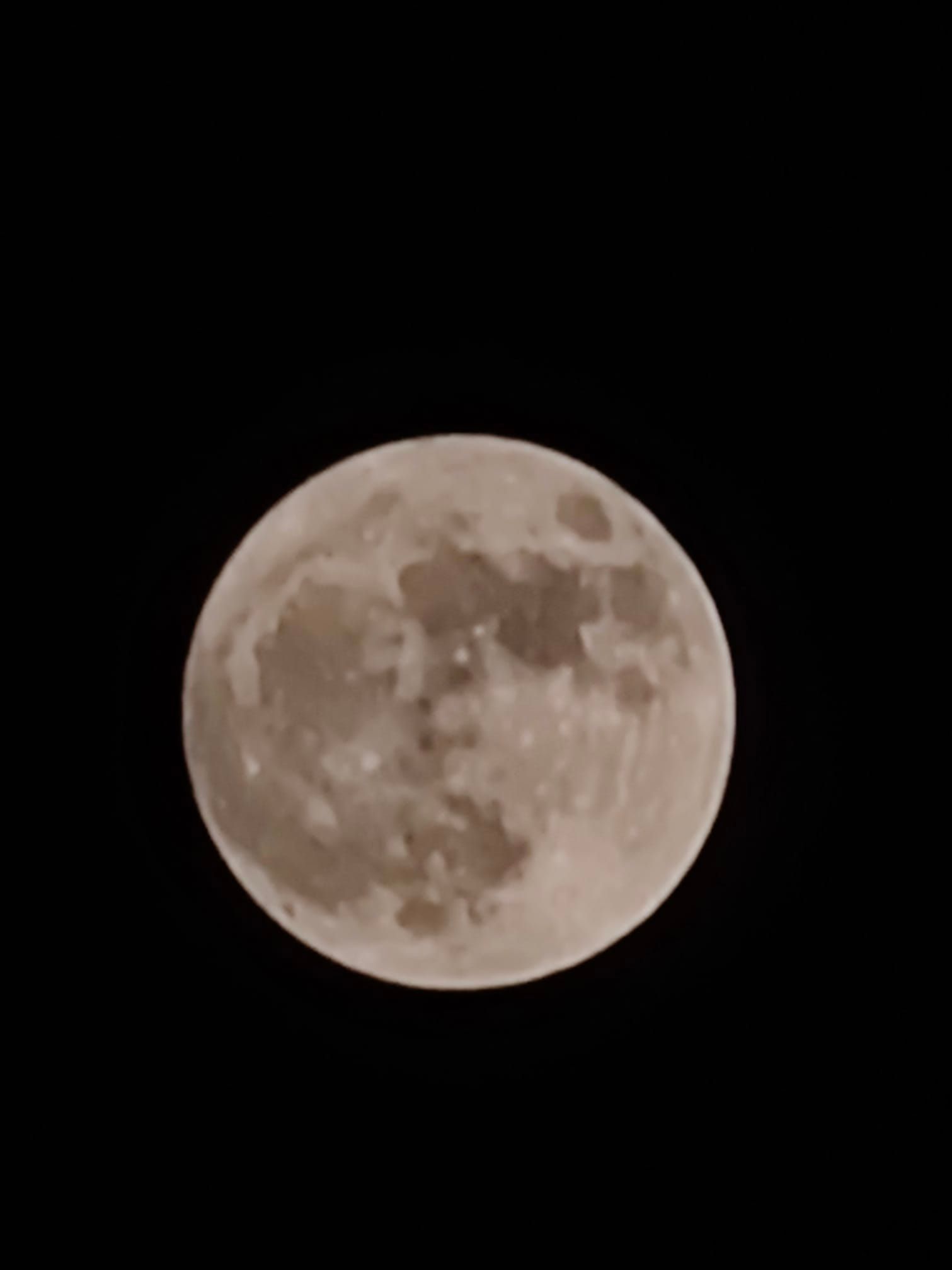 543201a560c919cae566.jpg