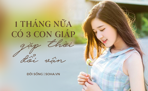 544d53a91e1537f38480.png