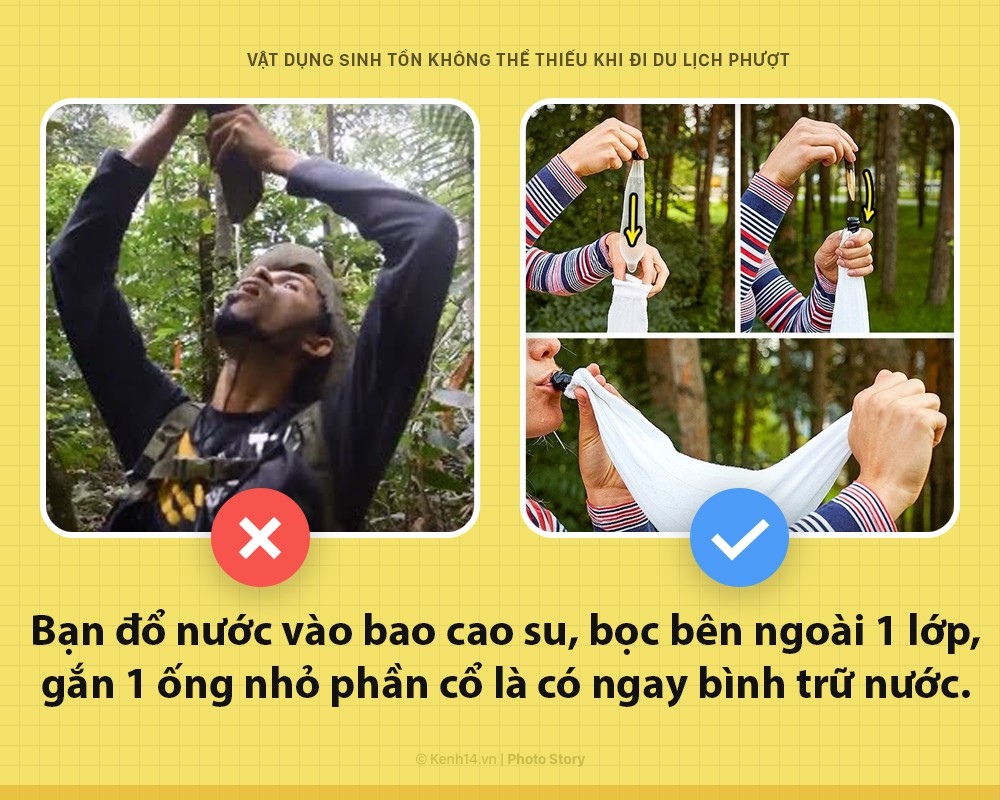 5450cc8a48b8cca8ccfe.jpg
