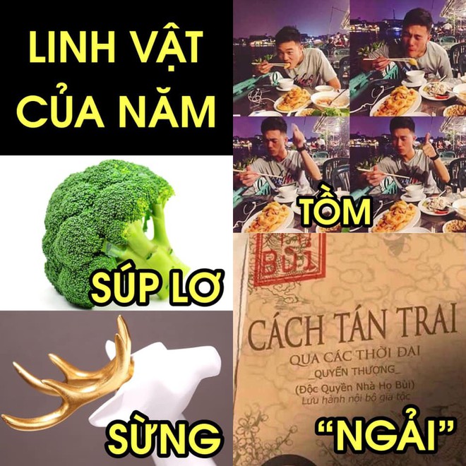 54568a52cddac69872a9.jpg