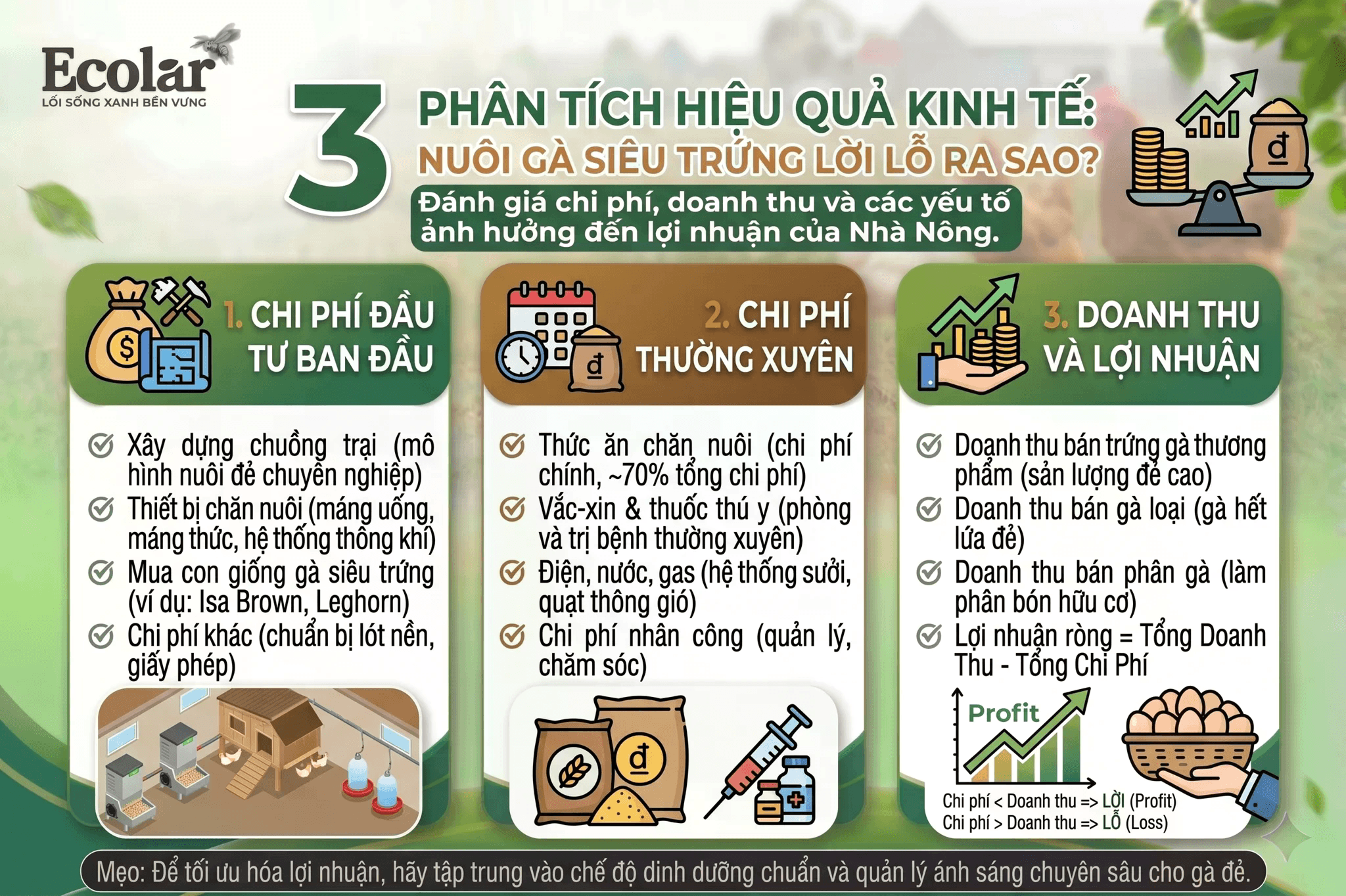 546eed0821de1c538d72.png