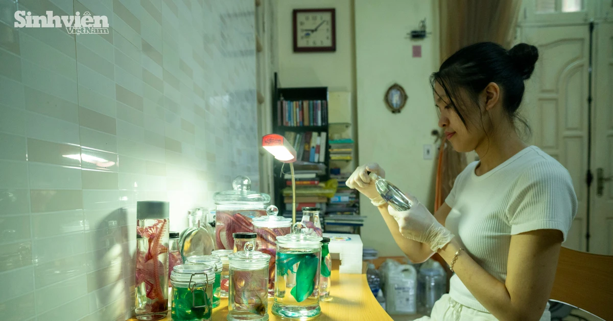 Cô gái Gen Z 7 năm mê mẩn nghệ thuật nhuộm xương động vật cực độc đáo ✨