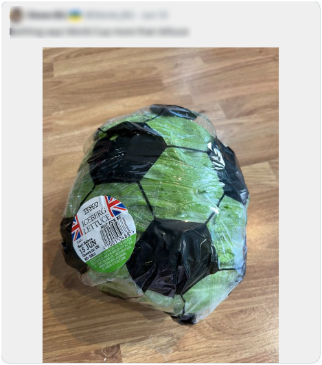 5491cdd796bb9af15168.jpg