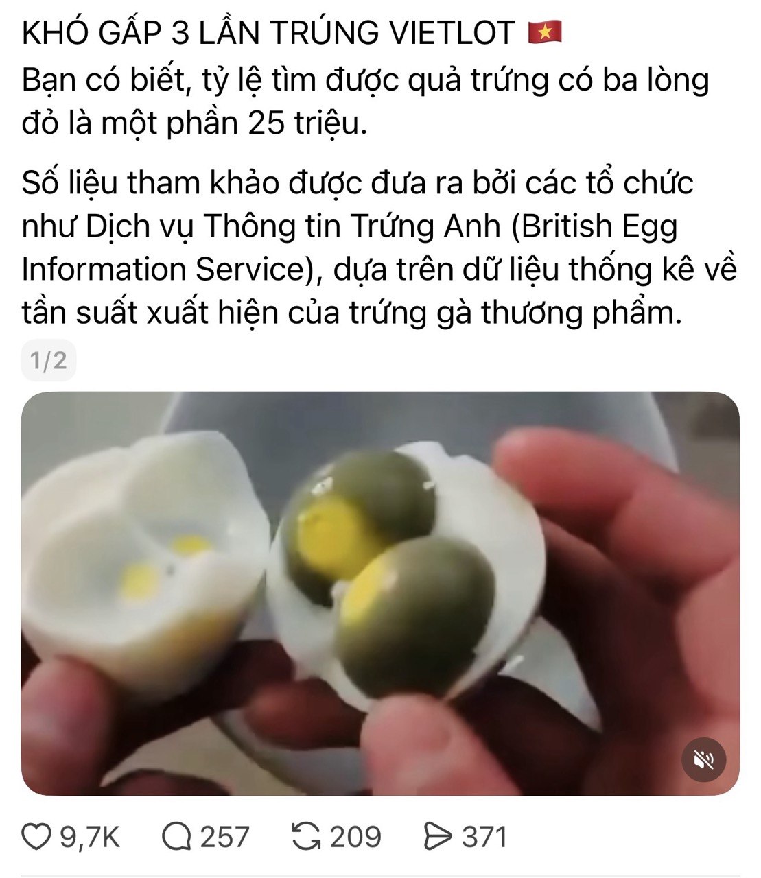 549c1c1ea19a22c0b9af.jpg