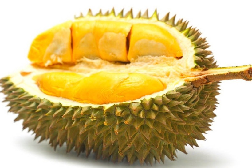 54b41f54f2b2f1616023.jpg