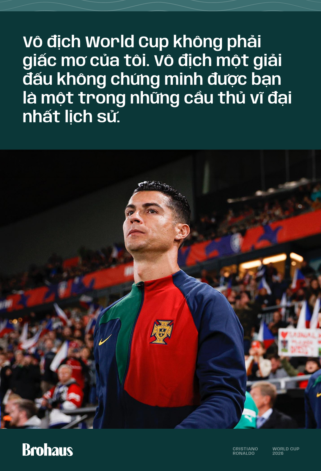 5502666c47a9396a54c4.png