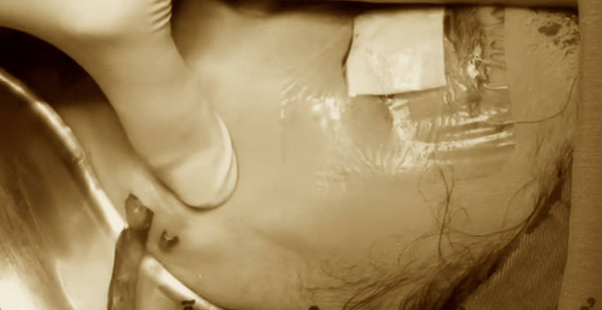 551290bd2706adf0744d.png