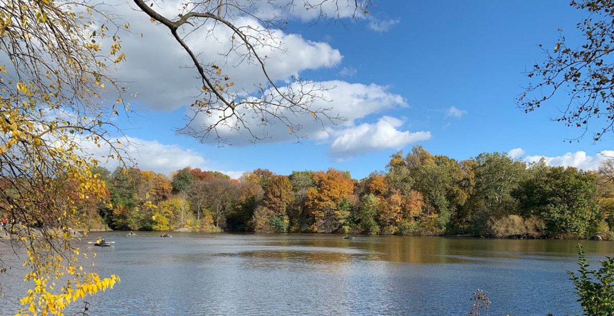 551a60dbfc71145da846.jpg