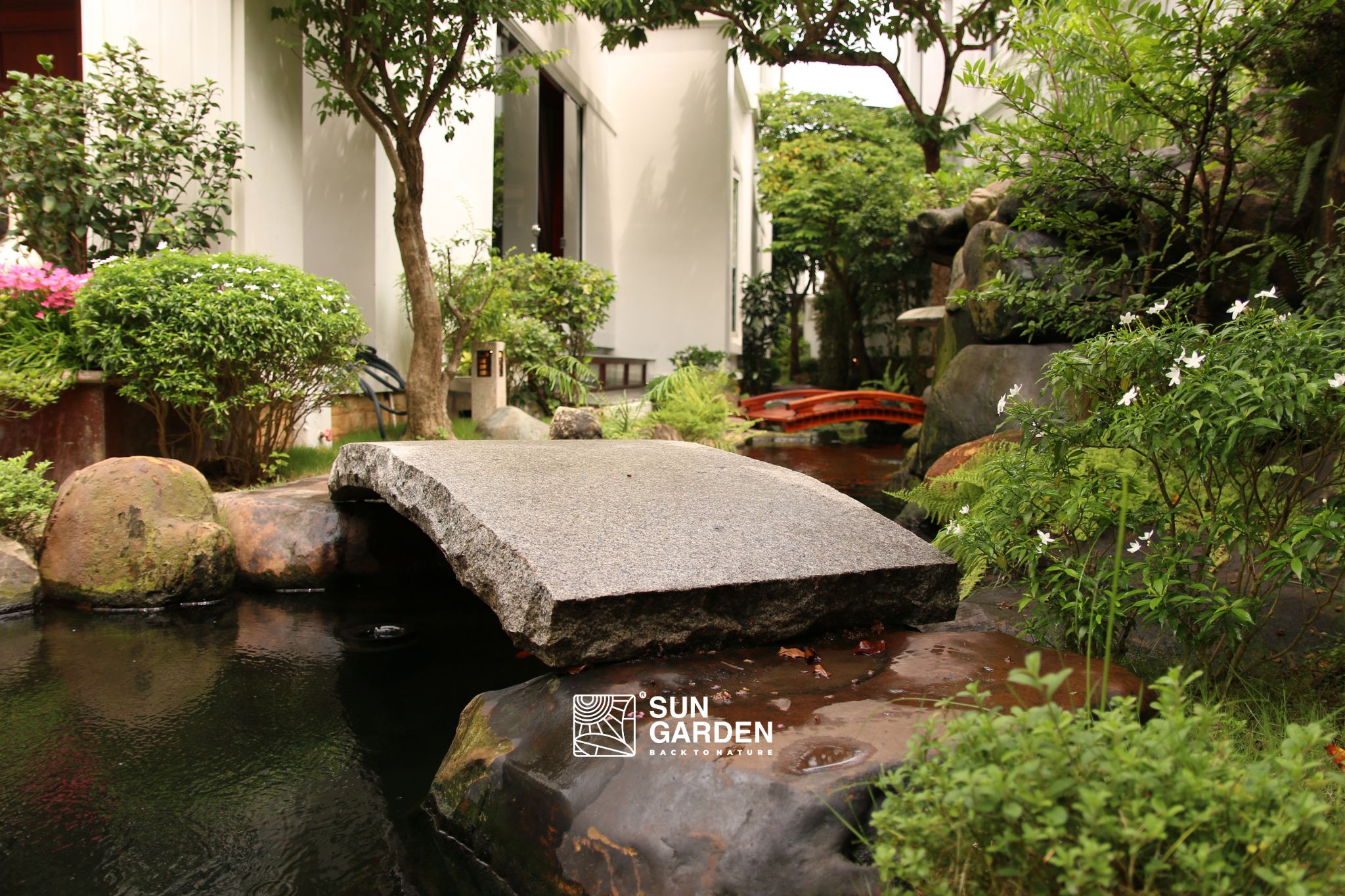 Trồng cây mùa mưa - Tận dụng thiên thời nhưng phải biết chăm đúng cách ☔