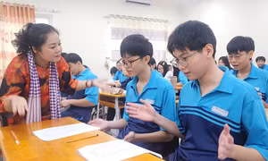 55246152e7b351cd665f.jpg