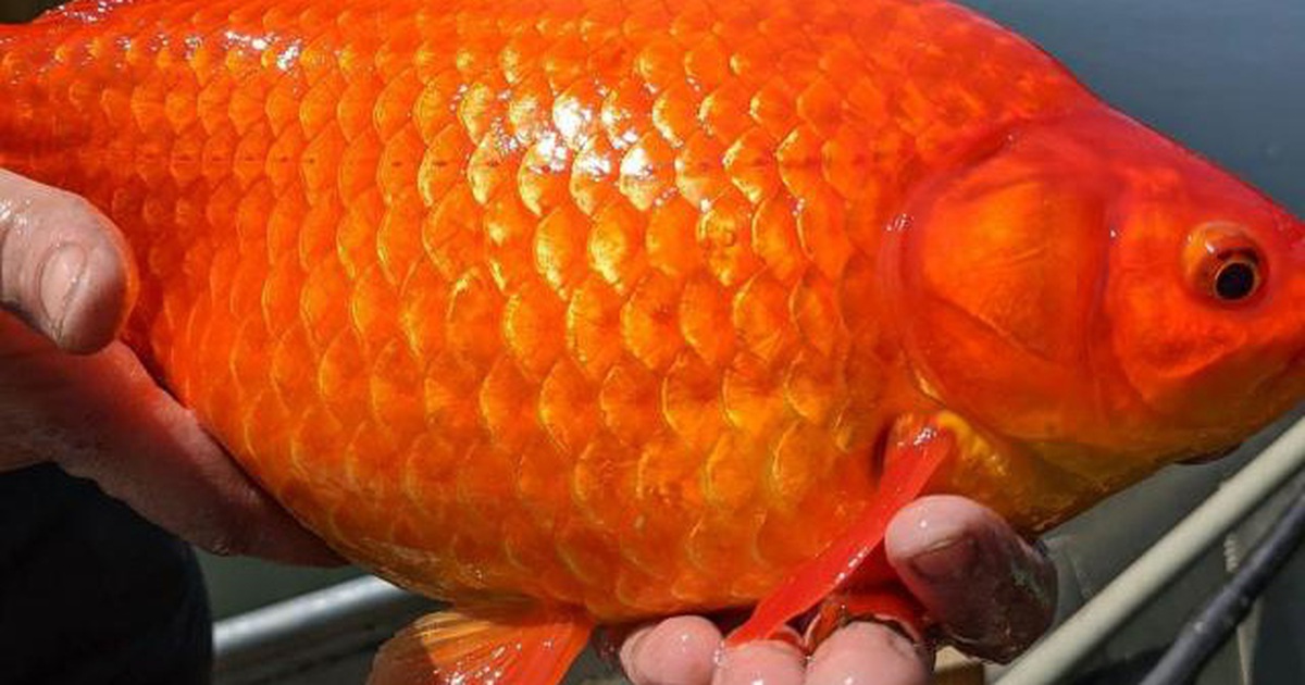 55abbfbb6df918106e84.jpg
