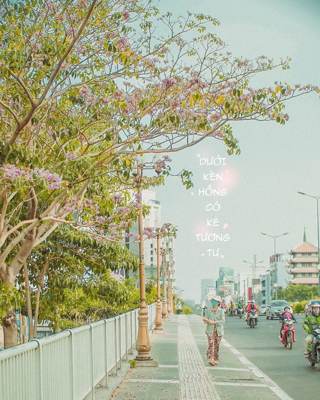 55c27f334a9ca7d2f94c.jpg