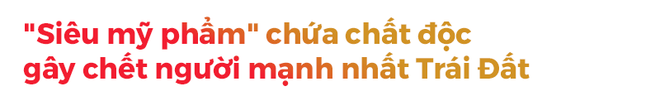 55cc92e1e62d12bda2e8.png