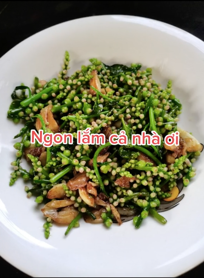 55d28f2cf82abe3a8517.png