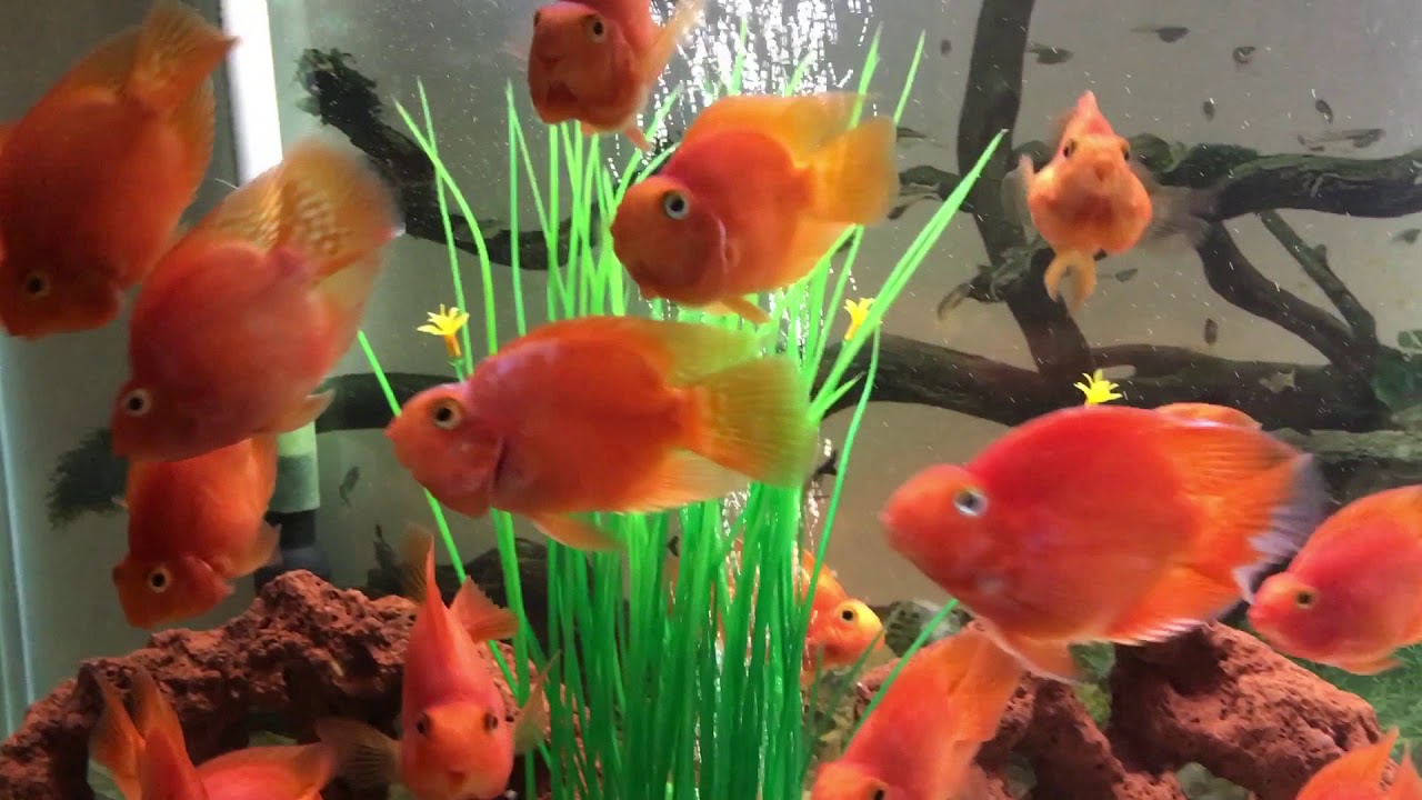 55d5359dd95e22ad27a0.jpg