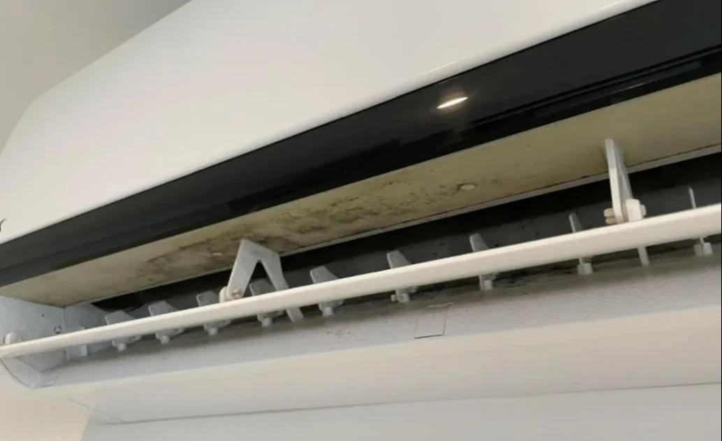 55e3f31ad17a30c1d837.jpg