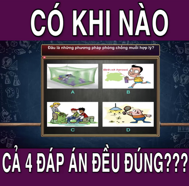 560f1dd67bb61209af0a.jpg