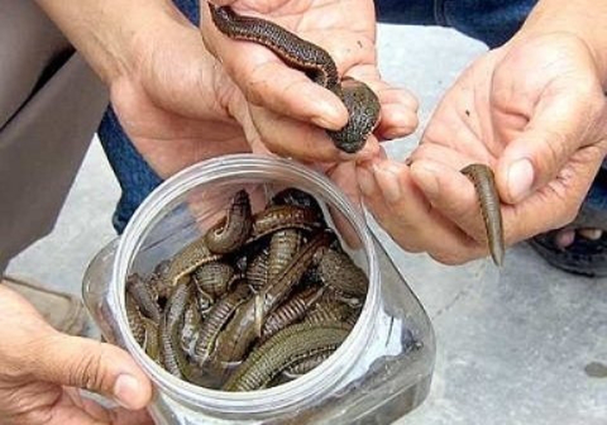 561f06ea901a3f3859b9.jpg