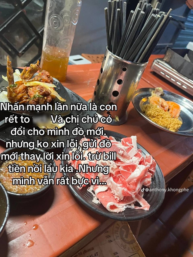 562f67806cfea6581536.jpg