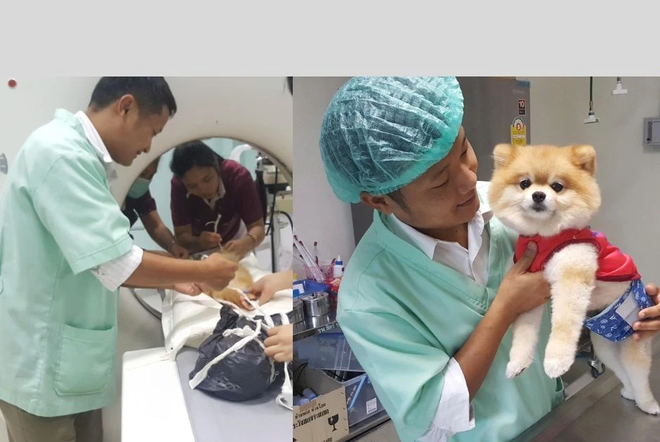 Ngành Thú y có thật sự "hái ra tiền" hay không?
