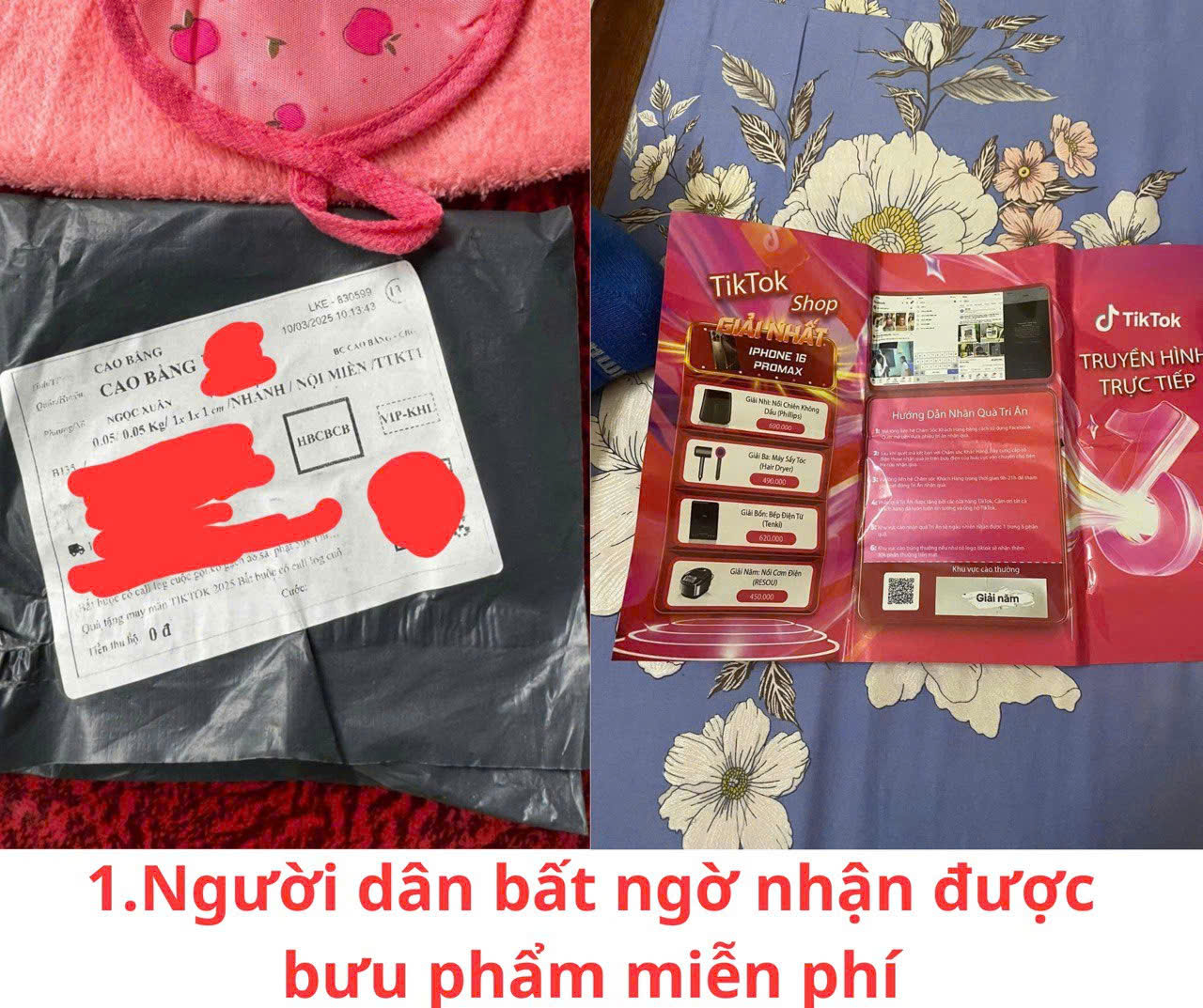 56de73ac566a7a8b6802.jpg