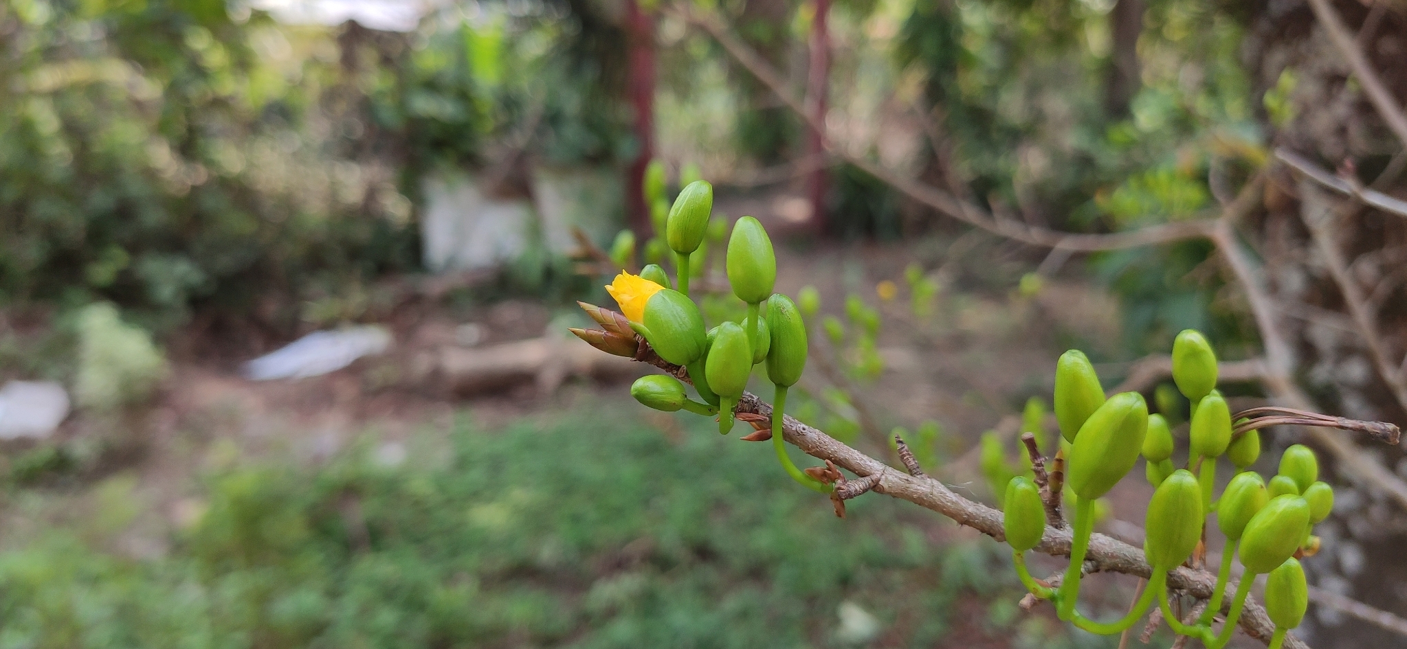 56f2bba61eae8816dd7e.jpg
