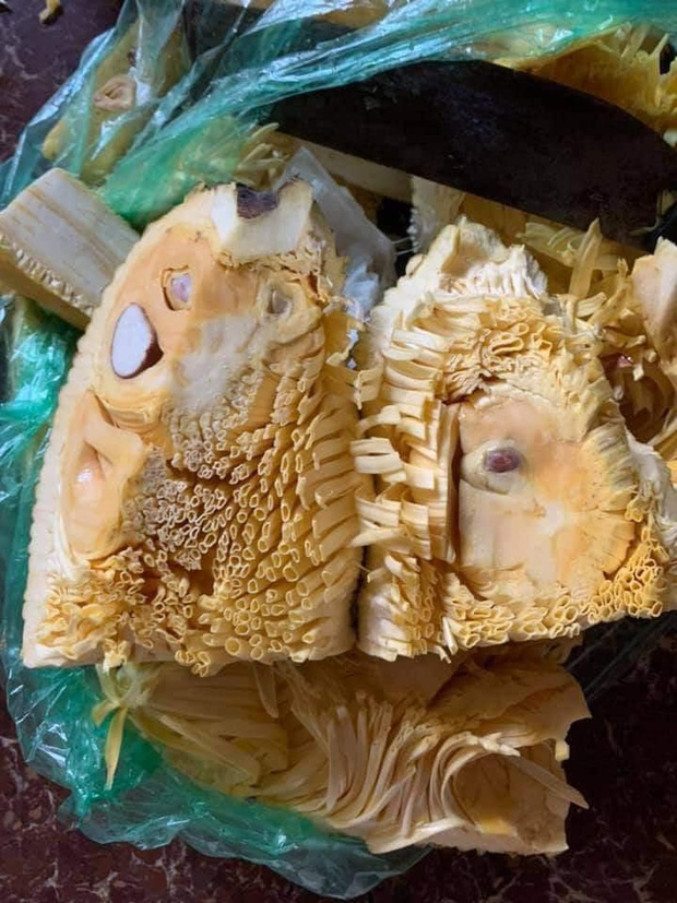 5792536cf3d0f79f6559.jpg
