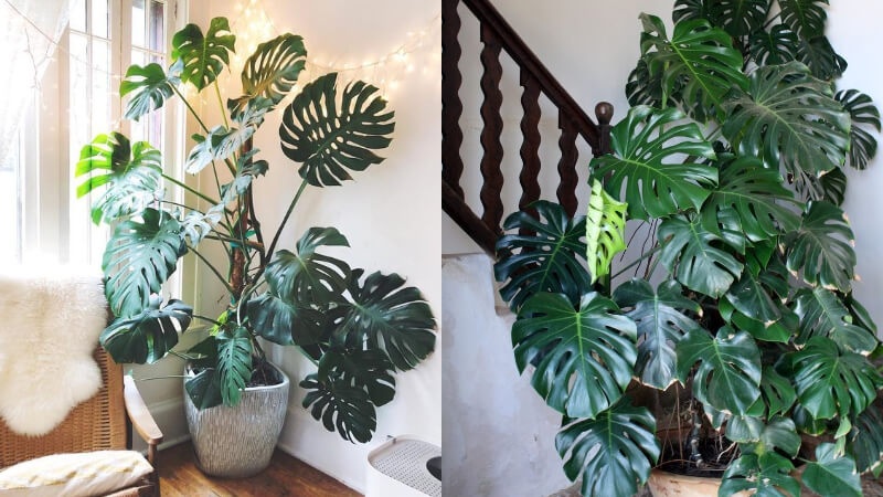 583ec85536f3938446ca.jpg