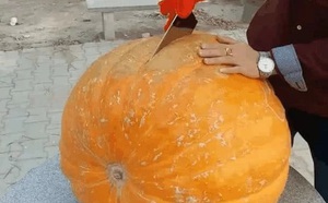 5849c25e922e8c768666.jpg