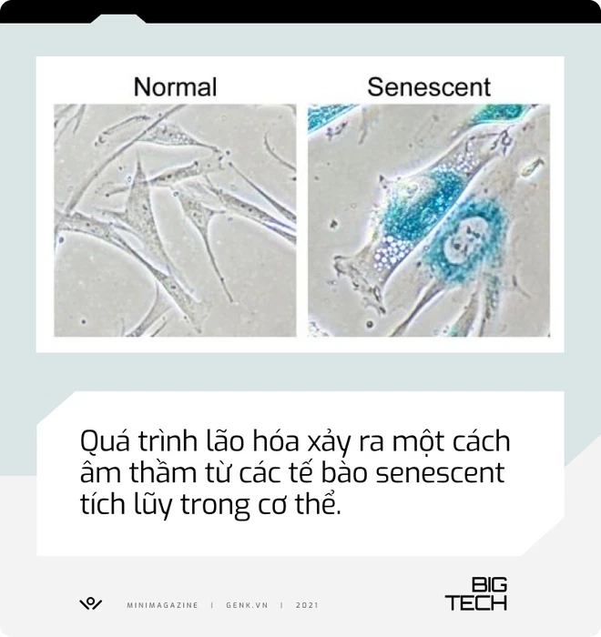 5897d49e2d7c91d40e46.png