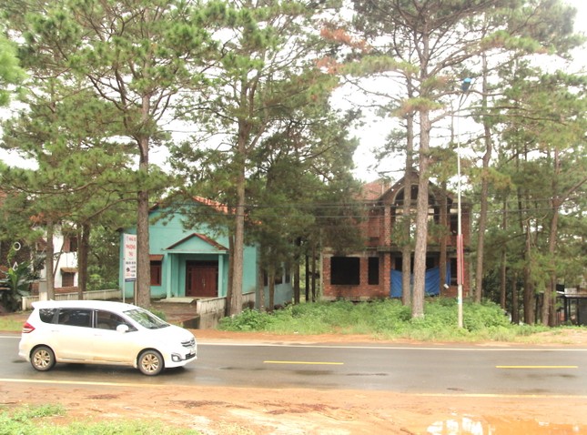 58a2bd785048dd161c87.jpg