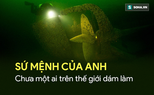 58cc93d56208437635f2.png
