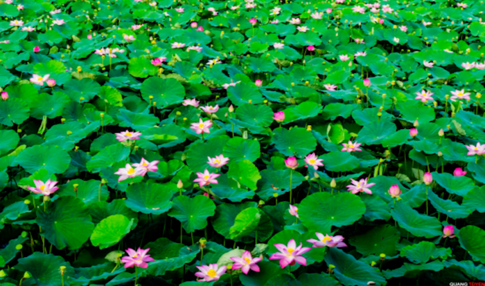 59067ff2009e57ae5e1b.png