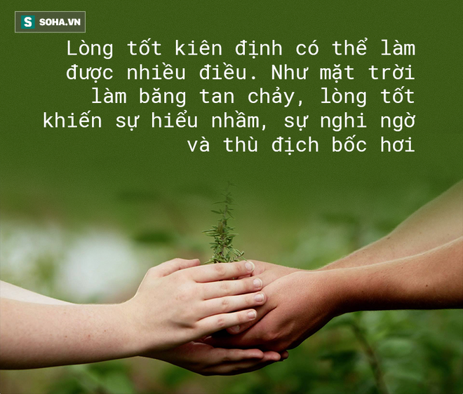 599d61954bd1633090ea.png