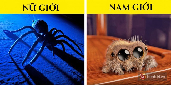 599f69639bee115ce15c.jpg