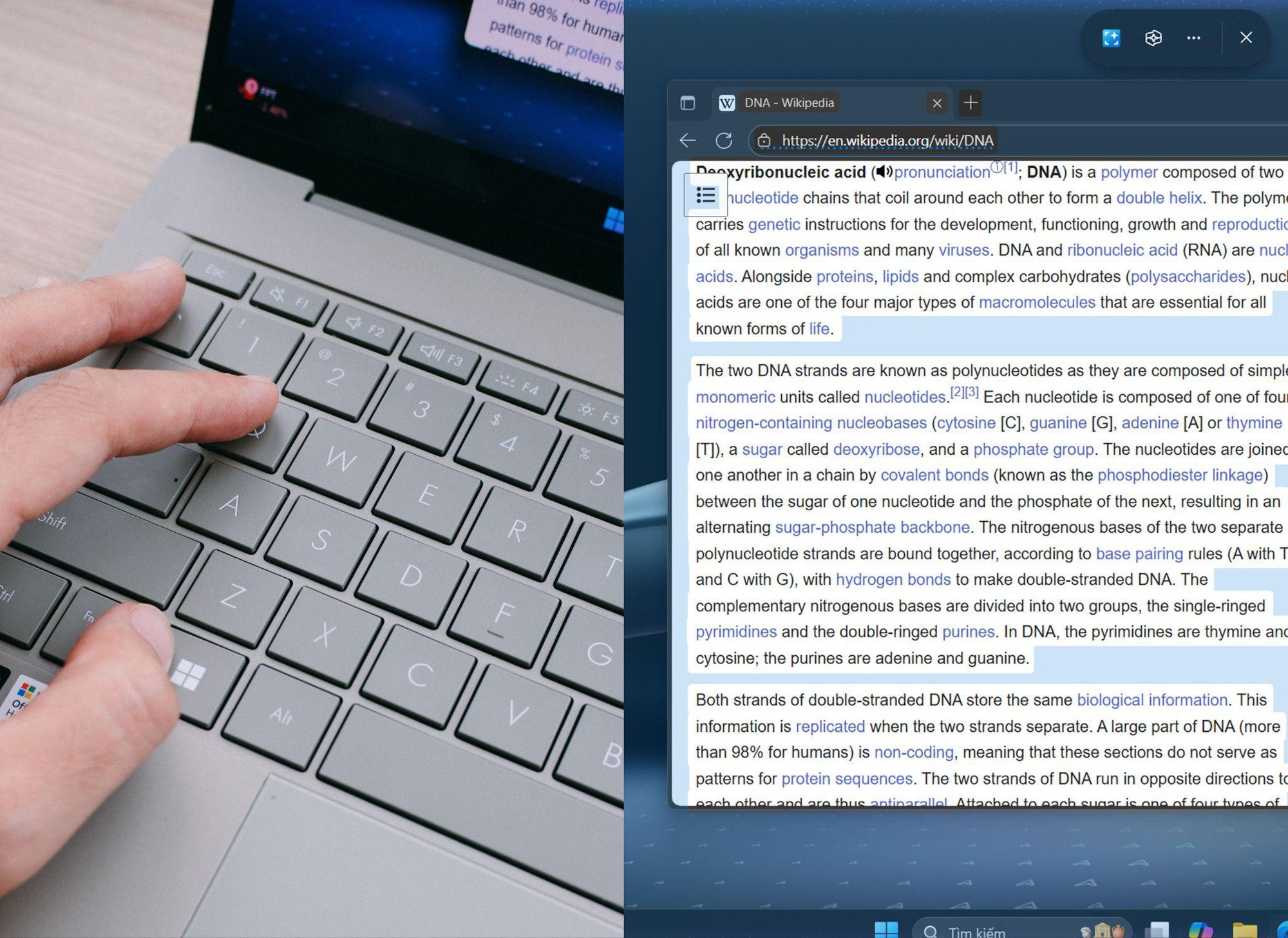 59a2c7469ec1d466fbbc.jpg
