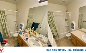 59a3e28c66b55be5156e.jpg