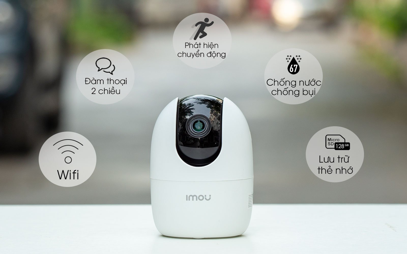 59ada00e2e87661f9209.jpg