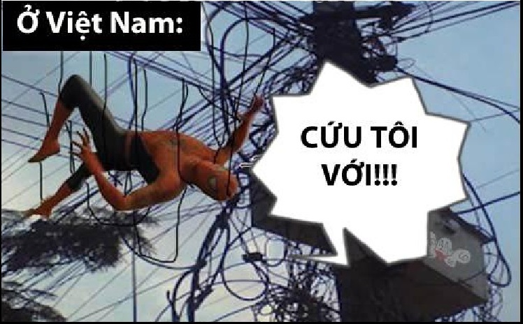 59d76bb5aeab48de7bbd.jpg