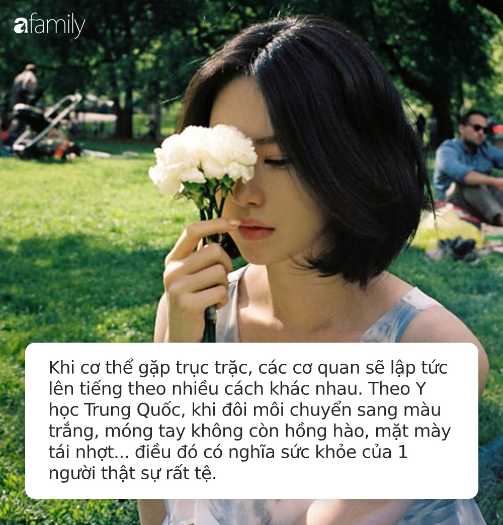 59eb98d119b362b7ec7f.jpg