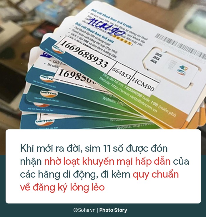 5a1dc95a63a0fc13ca65.jpg