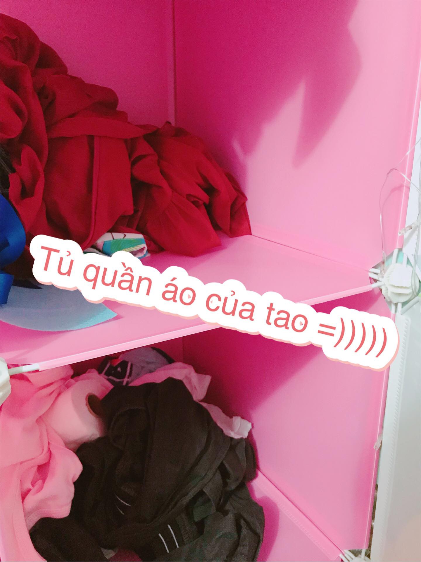 5a2d57bc9eb7a12f26b5.jpg