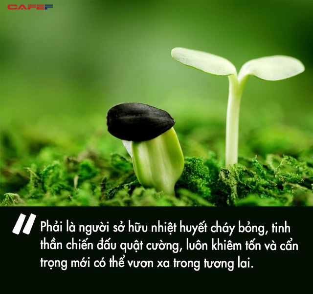 5a6bba3988e5cac7f022.jpg