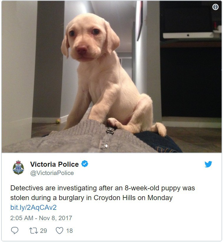 5a8b7e7ac2658b03efa4.jpg