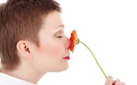 5aa1549a4c35ba5ffdfd.jpg