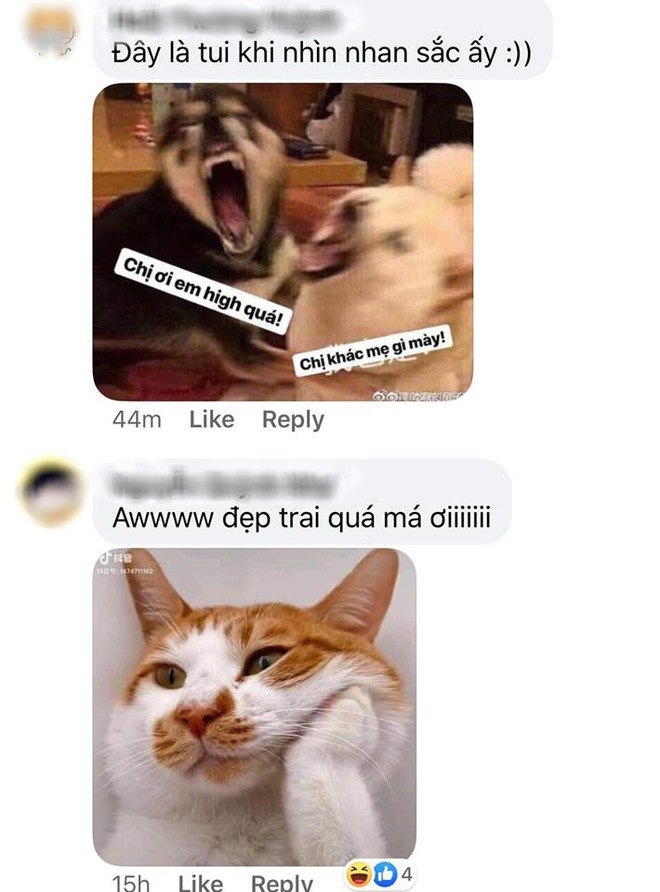 5ae25a66a0c362e1bedd.png
