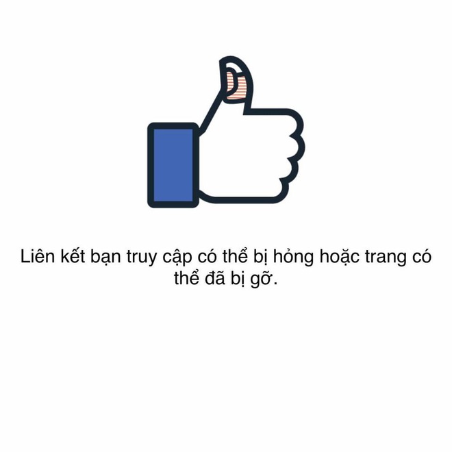 5b1b93ba66d725f8df3e.jpg