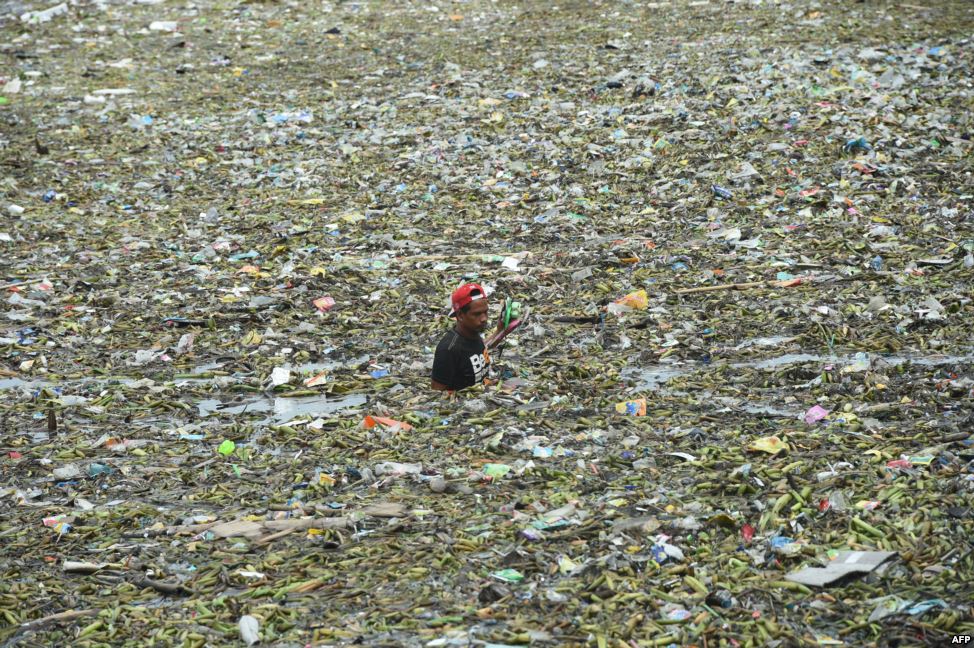 5b53e1c5cfff57ef789d.jpg